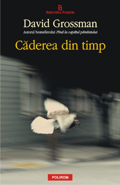 Căderea-din-timp.jpg